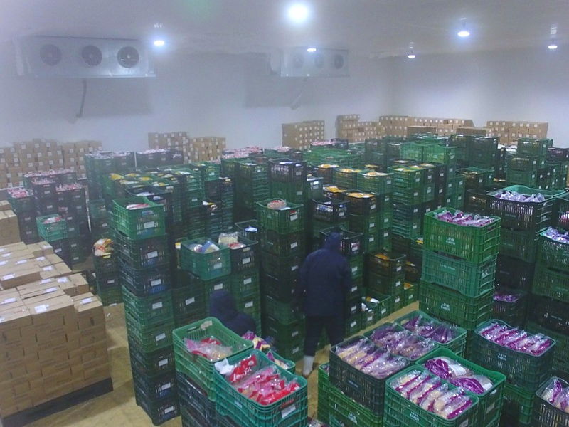 Câmara fria da Mundial Foods com a separação de pedidos de congelados